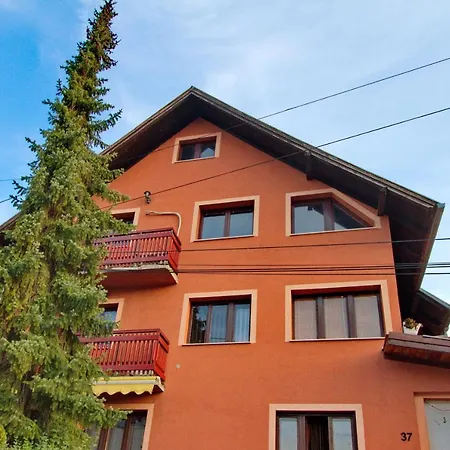 Smestaj Kod Nine I Matije Cajetina (Zlatibor)